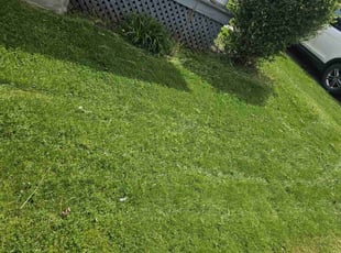William G.'s Lawn Mowing Service service result