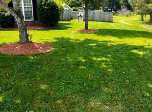 Deanna A.'s Lawn Mowing service result