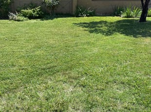 Carol F.'s Grass Cutting service result