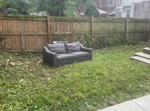 Bush Trimming by James Rouzer for Olu O. in Baltimore, MD