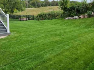 Barbara T.'s Lawn Maintenance service result