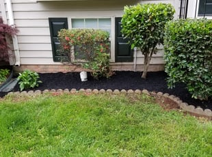 Bush Trimming by Mark Burke for LaNitra F. in Manassas, VA