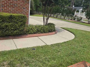 Bush Trimming by Michael Albert for Michael. C. in Fayetteville, NC