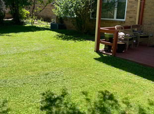 Jason M.'s Lawn Care service result