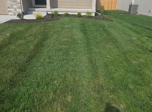 Ken S.'s Lawn Mowing Service service result