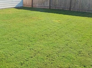 Rob M.'s Lawn Mowing service result