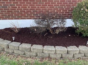 Cleanups by Kevin Alford for Andrew S. in Cincinnati, OH