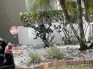 Bush Trimming by Albert Brown for Christina D. in Orlando, FL