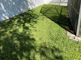 Michael Z.'s Lawn Service service result