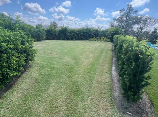 Jennifer M.'s Yard Cutting service result