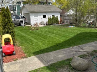 Shana L.'s Lawn Mowing Service service result