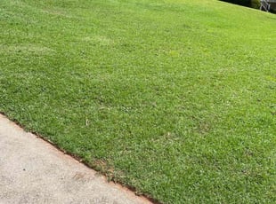 Mrs. Kiesha K.'s Lawn Care service result