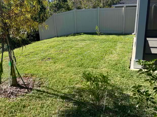 Dewayne W.'s Lawn Mowing service result