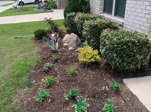 Weeding by Daniel Sloan for Keila G. in Celina, TX