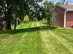 Tia M.'s Lawn Service service result