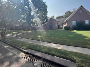 Shelia B.'s Lawn Care service result