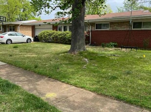 Cleanups by John Hoyt for Wesley P. in St. Louis, MO