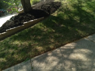 Cleanups by Jacob Jumper for Andrew K. in Grand Rapids, MI
