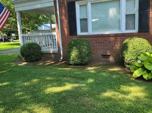 Bush Trimming by Clyde Scotton for James B. in Siler City, NC