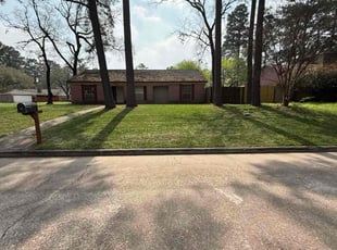 Grace W.'s Lawn Care service result