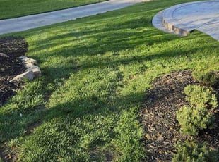 Leaf Removal by Ron Sullivan for james b. in Omaha, NE