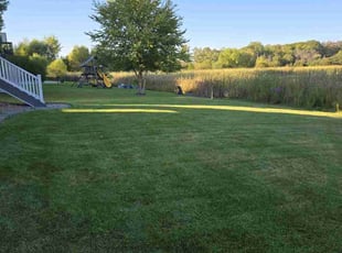 Debra K.'s Lawn Service service result