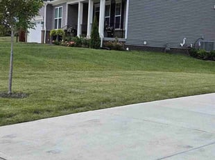 Tracy Z.'s Lawn Mowing service result
