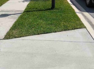Faiza K.'s Lawn Care service result