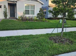 Diane P.'s Lawn Service service result