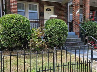 Bush Trimming by James Mckenzie for Tracey H. in Washington, DC