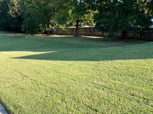 Pearl S.'s Lawn Care service result