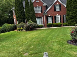 Roy H.'s Lawn Mowing Service service result