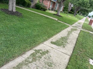 Rick G.'s Lawn Mowing service result