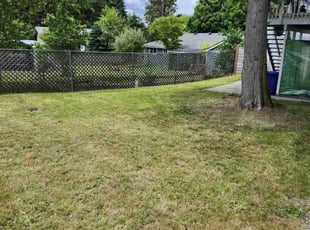 Pam F.'s Lawn Mowing Service service result