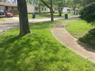 Nancy B.'s Lawn Mowing service result