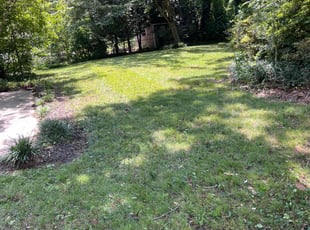 Evelyn C.'s Lawn Mowing service result