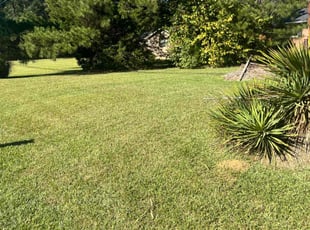 Micajah s.'s Lawn Mowing service result