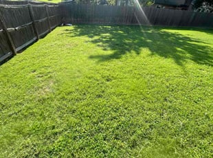 George S.'s Lawn Mowing service result