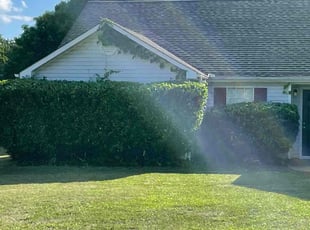 Bush Trimming by Aaron Hill for Shantrell R. in Covington, GA
