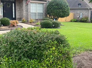 Bush Trimming by Shaun Gaston for Sharon F. in Pace, FL