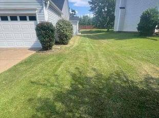 Toni M.'s Lawn Mowing service result