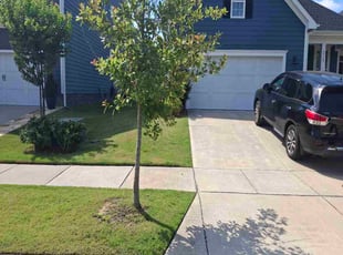 Hannah B.'s Lawn Mowing service result
