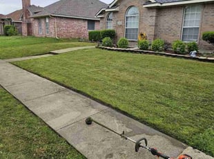 London R.'s Lawn Mowing service result