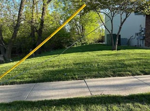Sharon W.'s Lawn Care service result