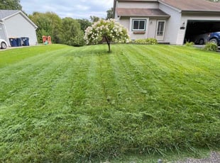 Estee R.'s Lawn Care service result