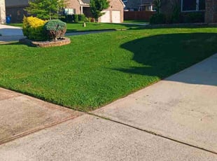 Kelly C.'s Lawn Mowing Service service result