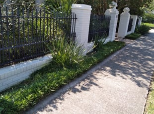 Bush Trimming by Raquel Dufrene for Stan L. in New Orleans, LA