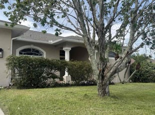 Bush Trimming by Apolinar Bravo for Ryan P. in Lakeland, FL