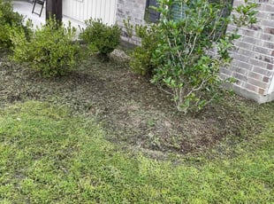 Weeding by Shedrick Price for Markquale F. in Covington, LA