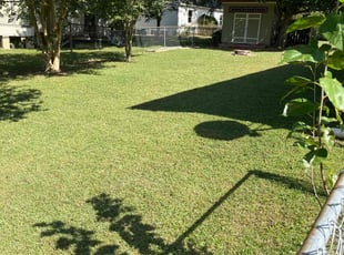 Katina B.'s Lawn Mowing service result